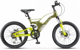 Stels Leader 250 MD 20 (2024) 