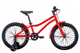 Bear Bike Kitez 20 (2021) 