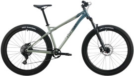 Format 1313 29 (2025)