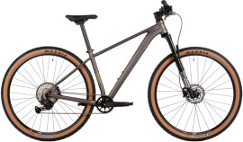 Stinger Graphite STD 29 (2025) Stinger Graphite STD 29 (2025)