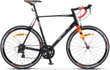 Stels XT280 28 V010 (2022)