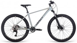 Aspect Nickel Pro 29 (2025)