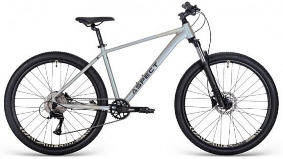 Aspect Nickel Pro 29 (2025)