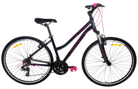 AIST Cross 1.0 W 28 (2024) AIST Cross 1.0 W 28 (2024)