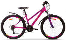 Aist Quest W (2025) Aist Quest W (2025)