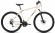 Велосипед Forward Altair AL 29 D (2022) 