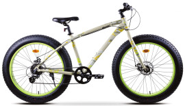 AIST FBS (2025) AIST FBS (2025)