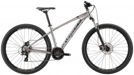 Silverback Series 7 29 (2025)