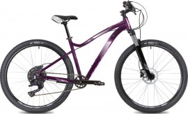 Stinger Vega EVO 29 (2024) 