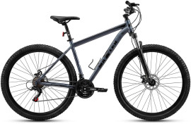 Maxter Boxfer 29 (2026)