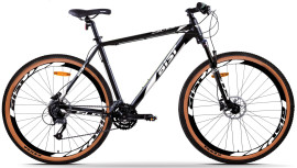 Aist Slide 3.0 29 (2025) Aist Slide 3.0 29 (2025)