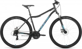 Forward Sporting 29 2.0 D (2022)