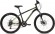 Велосипед Stinger Caiman D 24 (2022)