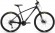 Велосипед Format 1214 29 (2023)